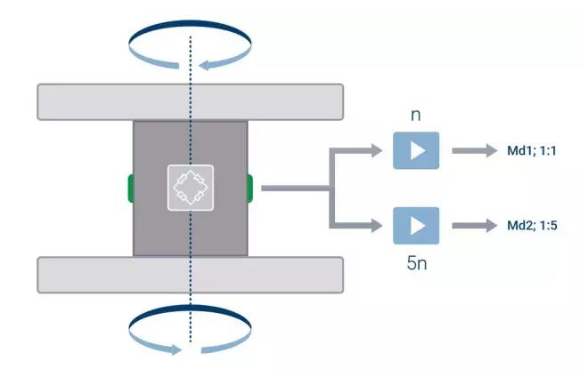 带有两个弹性体的双量程扭矩传感器